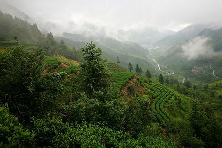 大山大风词语接龙可以接什么