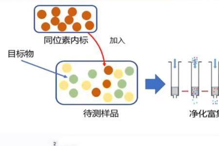 基质效应和提取回收率的区别