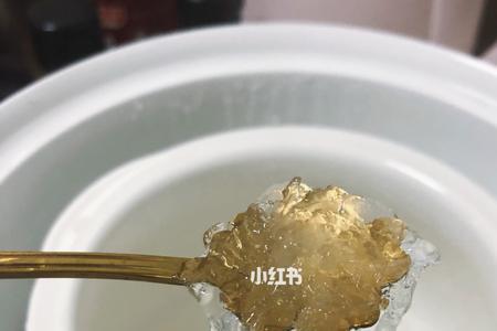 如何用电饭锅煮燕窝