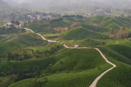 信阳茶山最高海拔多少