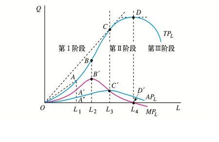 边际产量总是小于平均产量吗