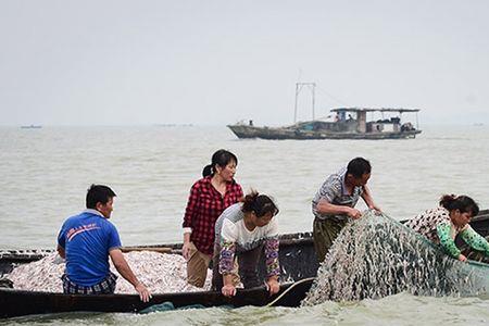 渔民和渔农的区别