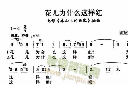 花儿为什么这样红主要内容