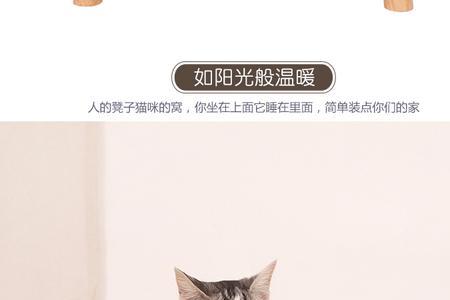 猫猫麻麻河北方言什么意思