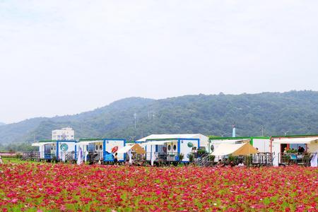 宁波7月露天种植什么