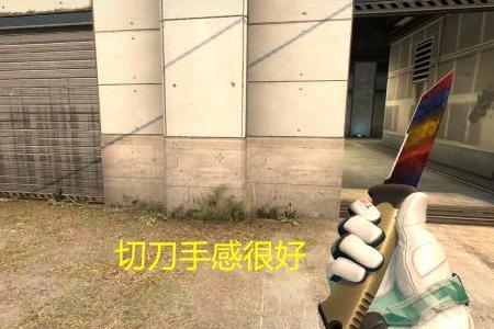 csgo熊刀好还是系绳好