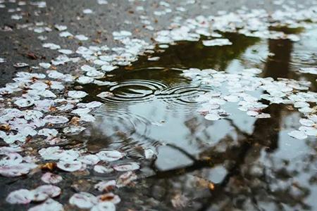 秋雨如挽歌是什么意思