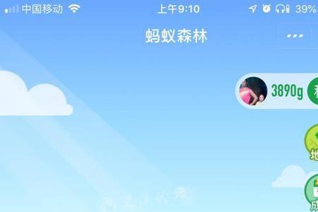 蚂蚁森林保护地任务怎么完成