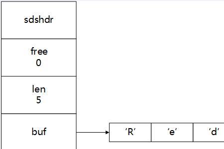 union占多少字节