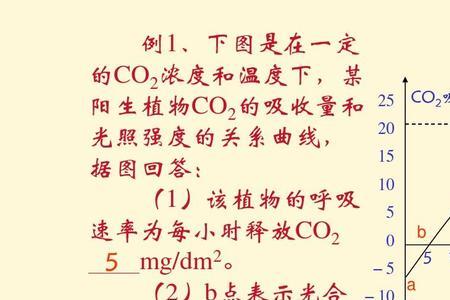 高中生物总光合与净光合区分