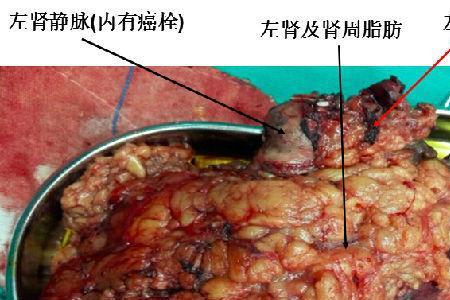 心影尚可什么意思