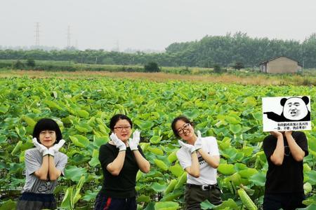 荷塘月下寻佳藕请对下联