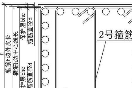 双肢箍筋怎样分布