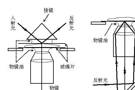 显微镜成像特点