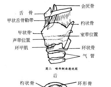 唱歌一发声小舌头就落下怎么办