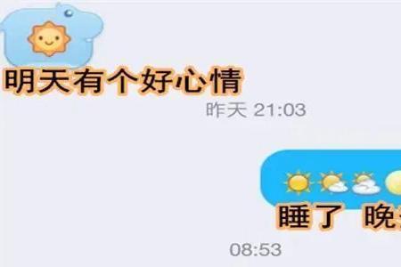 网络用语有瑕疵什么意思