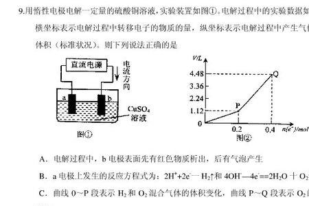 怎么判断正极负极