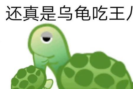 乌龟骑大象歇后语