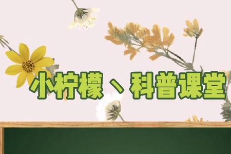 芊芊学子是什么意思