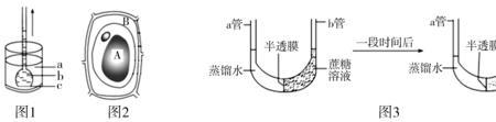 U型管原理是什么