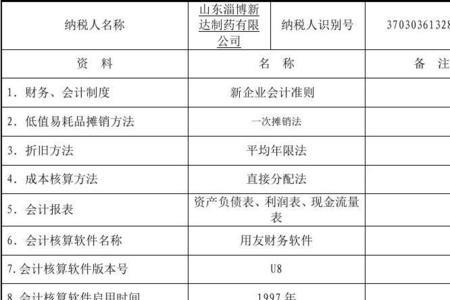 一表制会计财务核算信息怎么填