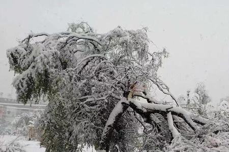 秋天的风里为什么夹杂着雪