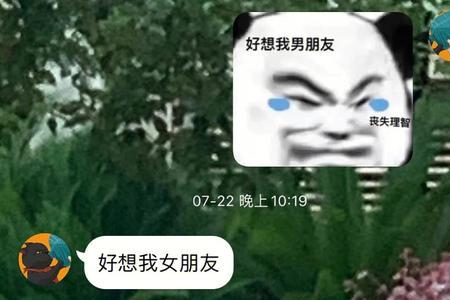 恋友什么意思