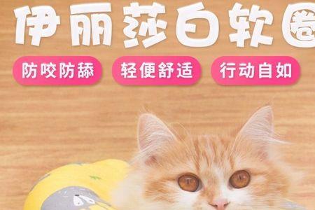 猫咪防舔圈能一直戴么