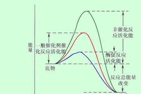 酶对化学反应的什么称为酶活性