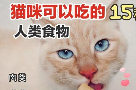 猫能吃腐竹吗