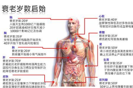 生命密码426代表什么意思