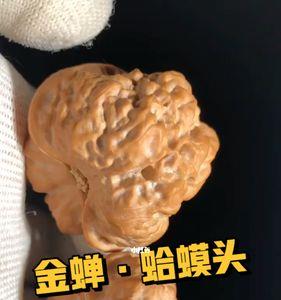 蛤蟆头核桃有黄正常么