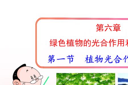 植物光合作用要多长时间