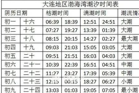 漳港赶海时间和最佳赶海时间