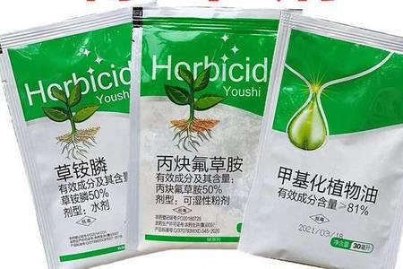 丙炔氟草胺下茬可种萝卜吗