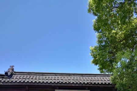 鹤壁金山寺开放了吗