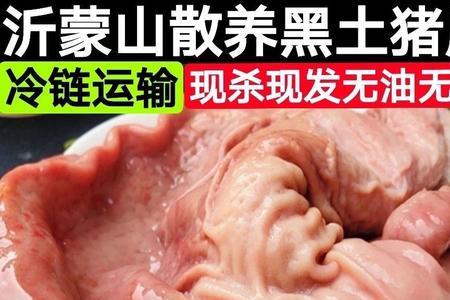 猪肚囊子肉是五花肉吗