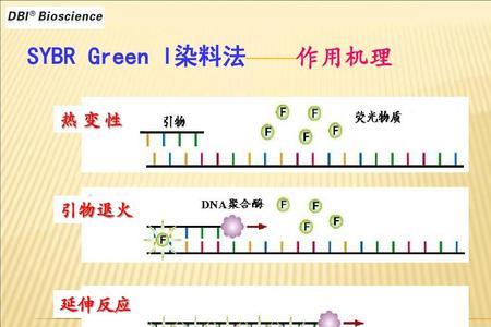 变性复性和延伸温度范围