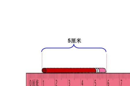 十公分多长手比划