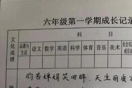 六年级学生手册学生该写什么