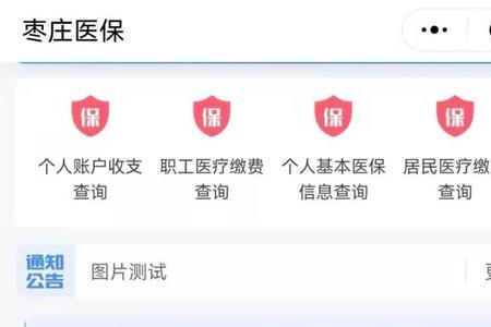 枣庄市医保怎么查询