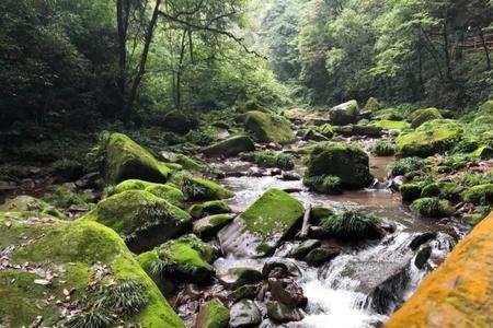 四川最适合避暑两个月的地方