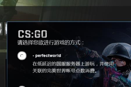 csgo国服的东西国际服能用吗