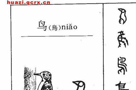 鸟字去掉一笔是什么字