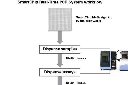 chip-pcr实验的原理和简要步骤