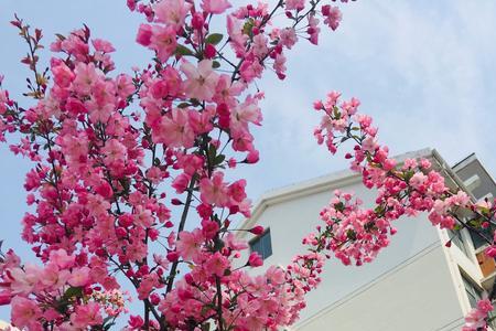 不过是醉眼看花花也醉的意思