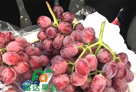 为什么提子会有荔枝味