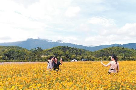 上林禾田农耕文化园门票