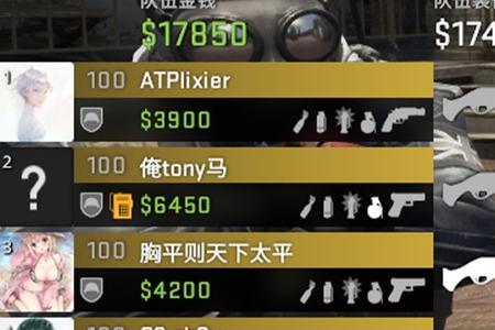 csgo大地球占多少比例