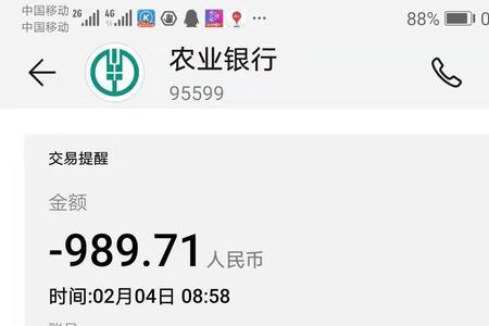 农业银行转账冲正什么意思